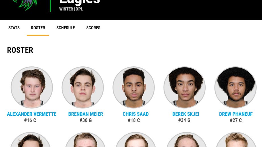 Team Roster & Player Stats Reveal NBAs Top Season Performers